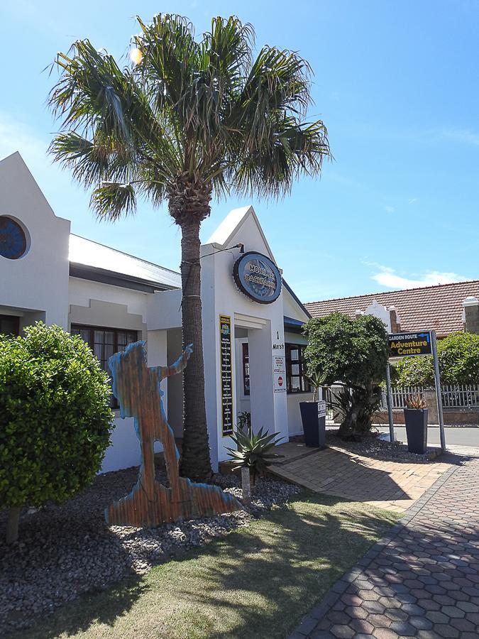 Hostel Mosselbay Backpackers Mossel Bay Zewnętrze zdjęcie
